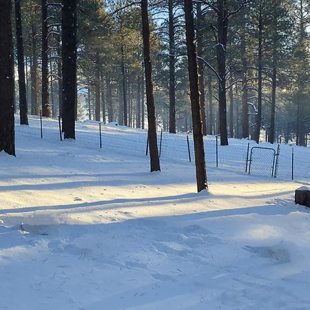 Close To Williams, Flagstaff, Grand Canyon And Sedona מראה חיצוני תמונה