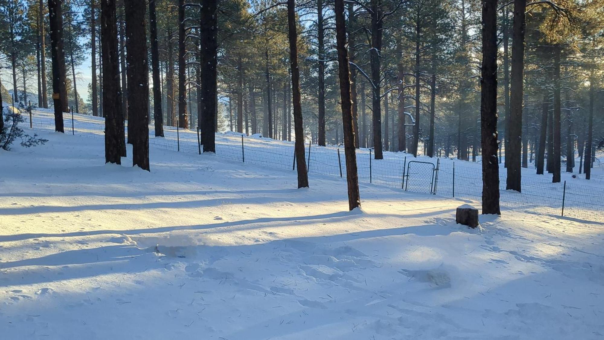 Close To Williams, Flagstaff, Grand Canyon And Sedona מראה חיצוני תמונה