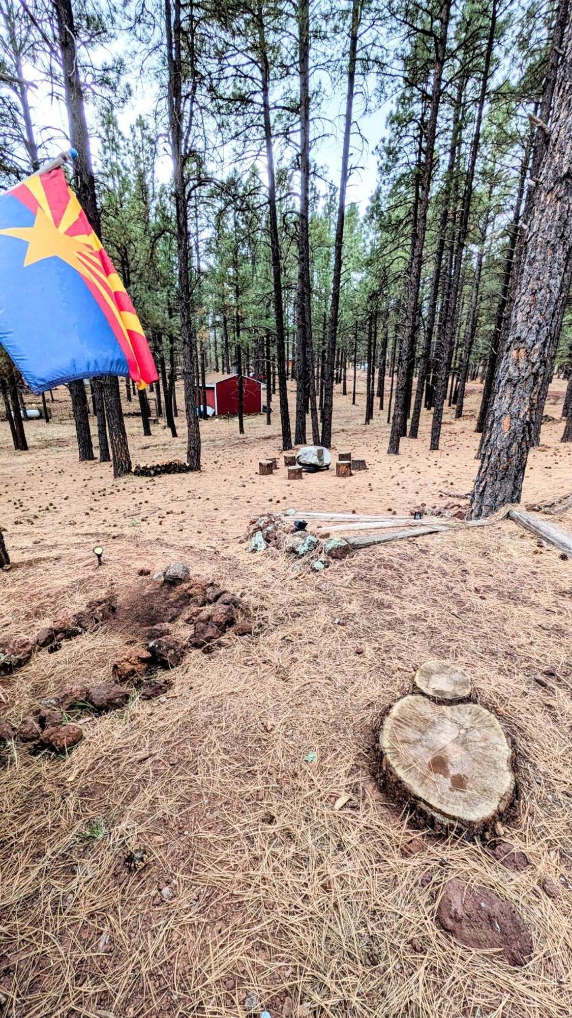 Close To Williams, Flagstaff, Grand Canyon And Sedona מראה חיצוני תמונה